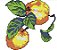 Matriz Bordado Ponto Cruz Frutas Para Pano De Prato - Imagem 9