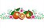 Matriz Bordado Frutas E Flores Para Pano De Prato - Imagem 3