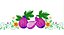 Matriz Bordado Frutas E Flores Para Pano De Prato - Imagem 2