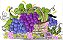 Matriz Bordado Pano De Prato Frutas E Flores - Imagem 6