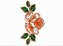 Matriz Bordado Richelieu Com Rosas - Imagem 6