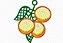 Matriz Bordado Richelieu Frutas Com Folhas - Imagem 5