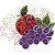 Matriz Bordado Aplique Frutas Lindo - Imagem 4
