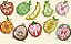 Matriz Bordado Apliques Frutas E Verduras - Imagem 1