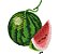 Matriz Bordado Coleção Frutas Deliciosas - Imagem 7