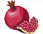 Matriz Bordado Coleção Frutas Deliciosas - Imagem 8
