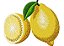 Matriz Bordado Coleção Frutas Deliciosas - Imagem 6