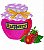 Matriz Bordado Compota De Frutas - Imagem 3