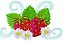 Matriz Bordado Conjunto Frutas Delicadas - Imagem 1