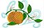 Matriz Bordado Conjunto Frutas Delicadas - Imagem 4