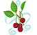 Matriz Bordado Conjunto Frutas Delicadas - Imagem 9