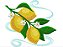 Matriz Bordado Conjunto Frutas Delicadas - Imagem 3