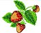 Matriz Bordado Conjunto Frutas Deliciosas - Imagem 2