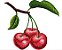 Matriz Bordado Conjunto Frutas Deliciosas - Imagem 1