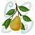 Matriz Bordado Conjunto Frutas Saborosas - Imagem 10