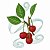 Matriz Bordado Conjunto Frutas Saborosas - Imagem 9