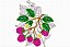 Matriz Bordado Frutas Divinas - Imagem 7