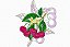 Matriz Bordado Frutas Divinas - Imagem 2