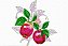 Matriz Bordado Frutas Divinas - Imagem 8