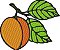 Matriz Bordado Frutas Lindas - Imagem 7