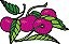 Matriz Bordado Frutas No Galho - Imagem 4