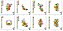 Matriz Bordado Floral 3 - Imagem 10