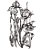 Matriz Bordado Floral Contorno Lindo - Imagem 6