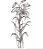 Matriz Bordado Floral Contorno Lindo - Imagem 8