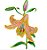Matriz Bordado Flores Lindas 6 - Imagem 6