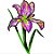 Matriz Bordado Flores Lindas 6 - Imagem 5