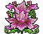 Matriz Bordado Flores Secas - Imagem 7