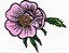 Matriz Bordado Flores Secas - Imagem 3