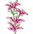 Matriz Bordado Flores Tropicais - Imagem 1