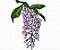 Matriz Bordado Conjunto Floral Delicado - Imagem 9