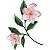 Matriz Bordado Conjunto Floral Lindo - Imagem 6