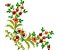 Matriz Bordado Conjunto Floral Lindo Para Toalhas - Imagem 7