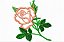 Matriz Bordado Aplique Rosa - Imagem 1