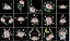 Matriz Bordado Conjunto De Rosas Delicadas - Imagem 10