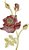 Matriz Bordado Rosas Especiais - Imagem 4