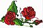 Matriz Bordado Rosas Fantásticas - Imagem 5