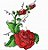Matriz Bordado Rosas Fantásticas - Imagem 6
