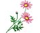 Matriz Bordado Conjunto Flores Grandes Lindas - Imagem 5