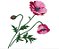 Matriz Bordado Conjunto Flores Grandes Lindas - Imagem 2