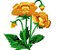 Matriz Bordado Conjunto Flores Grandes Lindas - Imagem 7