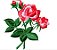 Matriz Bordado Conjunto Flores Grandes Lindas - Imagem 8