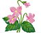 Matriz Bordado Conjunto Flores Grandes Lindas - Imagem 6