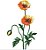 Matriz Bordado Conjunto Flores Grandes Lindas - Imagem 9