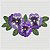 Matriz Bordado Violetas Lindas - Imagem 5