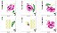 Matriz Bordado Almofada Blocos 05 - Imagem 3