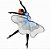 Matriz Bordado Bailarinas Delicadas Lindas - Imagem 1
